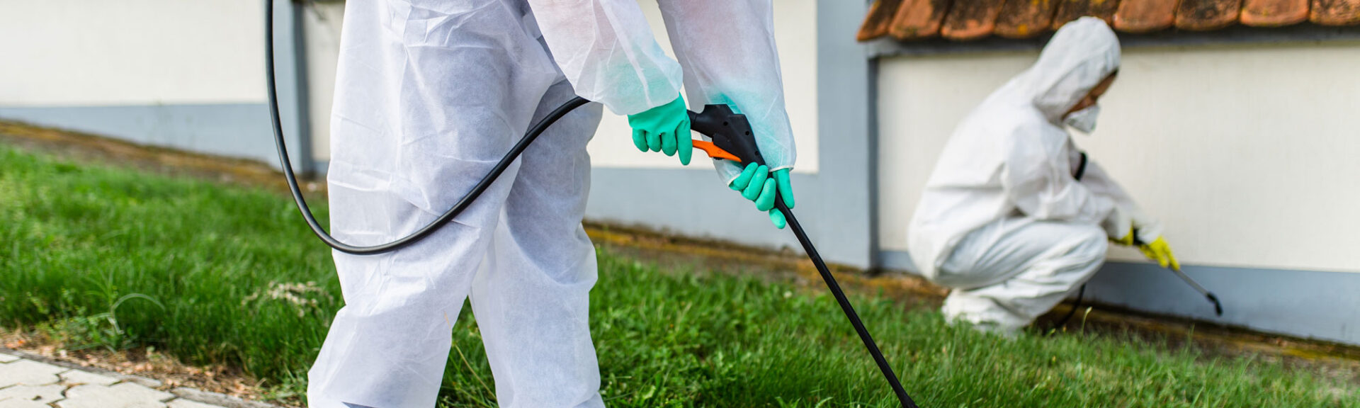Exterminators Outdoors In Work Wear Spraying Pesticide With Spra