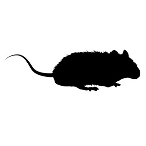 Ql Ratadobestock 654286120